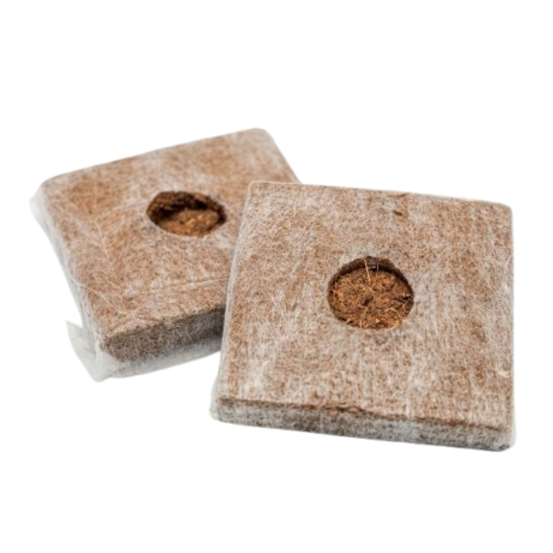SCP Grow Cube Products Image Carousle 2